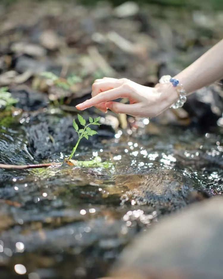 Yun Ting - All Things Grow Collection | Natural Clear Quartz & Kyanite S925 Silver Bracelet"