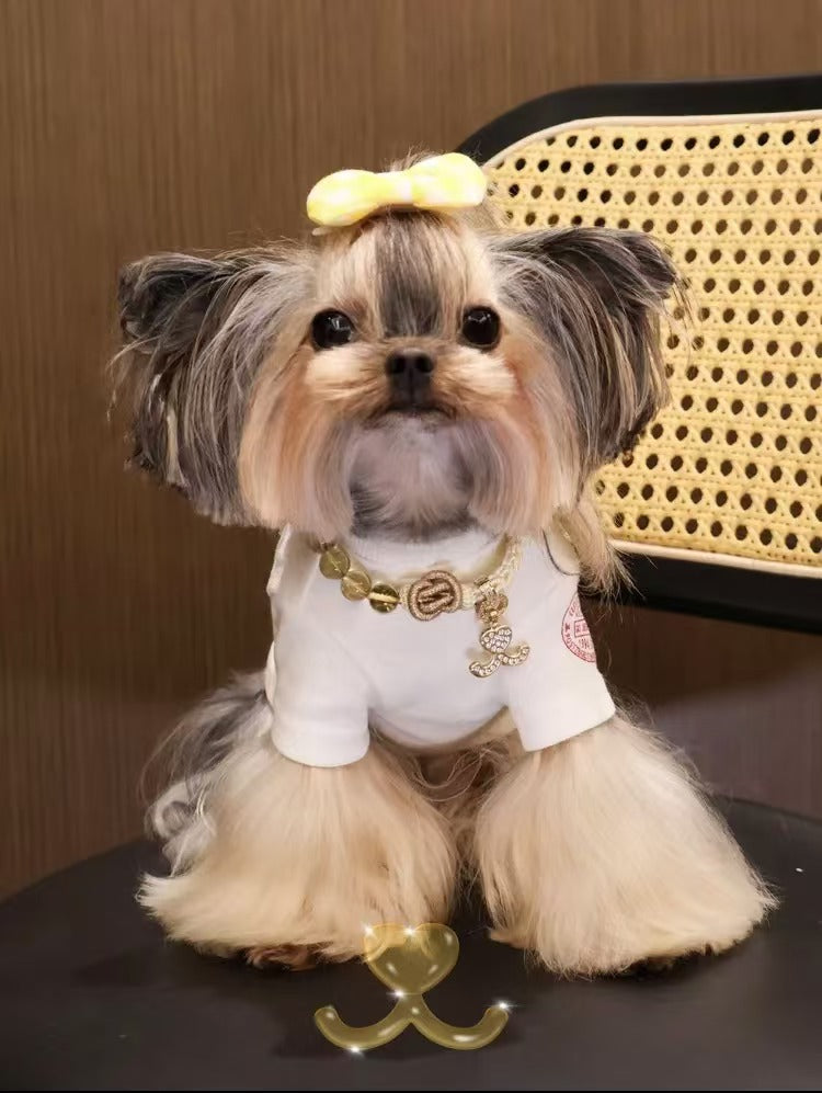 Crystal Guardian Series Citrine Braided Pet Necklace Collar Pendant - Wealth Attraction Prayer Healing