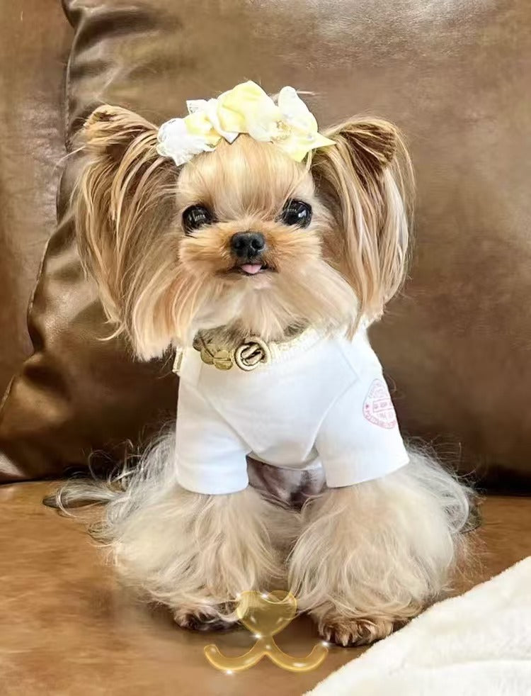 Crystal Guardian Series Citrine Braided Pet Necklace Collar Pendant - Wealth Attraction Prayer Healing