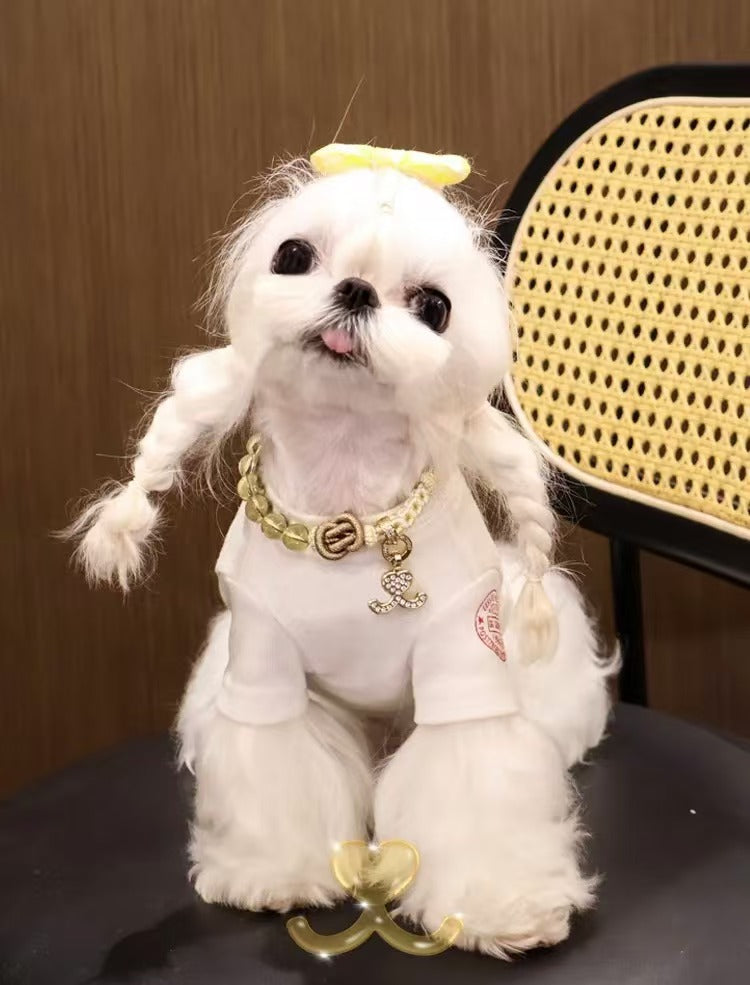 Crystal Guardian Series Citrine Braided Pet Necklace Collar Pendant - Wealth Attraction Prayer Healing