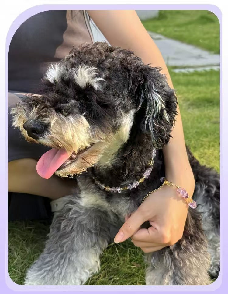 Gilded Double Crystal · Original Pet & Owner Natural Amethyst Citrine Insect Repellent Necklace & Bracelet Set