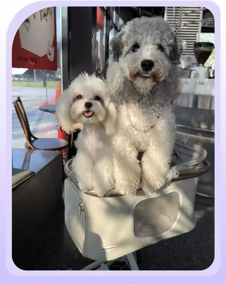 Gilded Double Crystal · Original Pet & Owner Natural Amethyst Citrine Insect Repellent Necklace & Bracelet Set